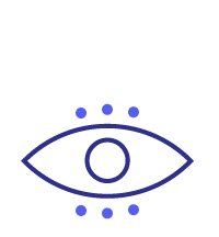 Vision
