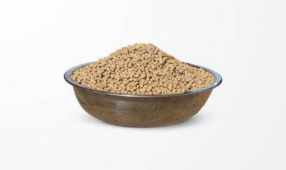 Cattle feed