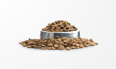 Pet feed (dogs, cats)