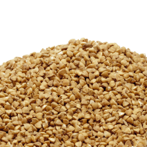 Maize Germ